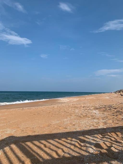 Ormond Beach, Fun & Loving Sun! エクステリア 写真